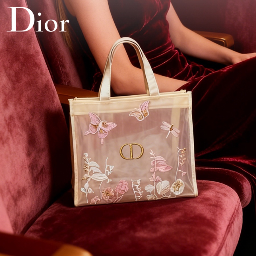 Travel Accessories Organizer Bag - Christian Dior Dior’s Bag Luxury Designer