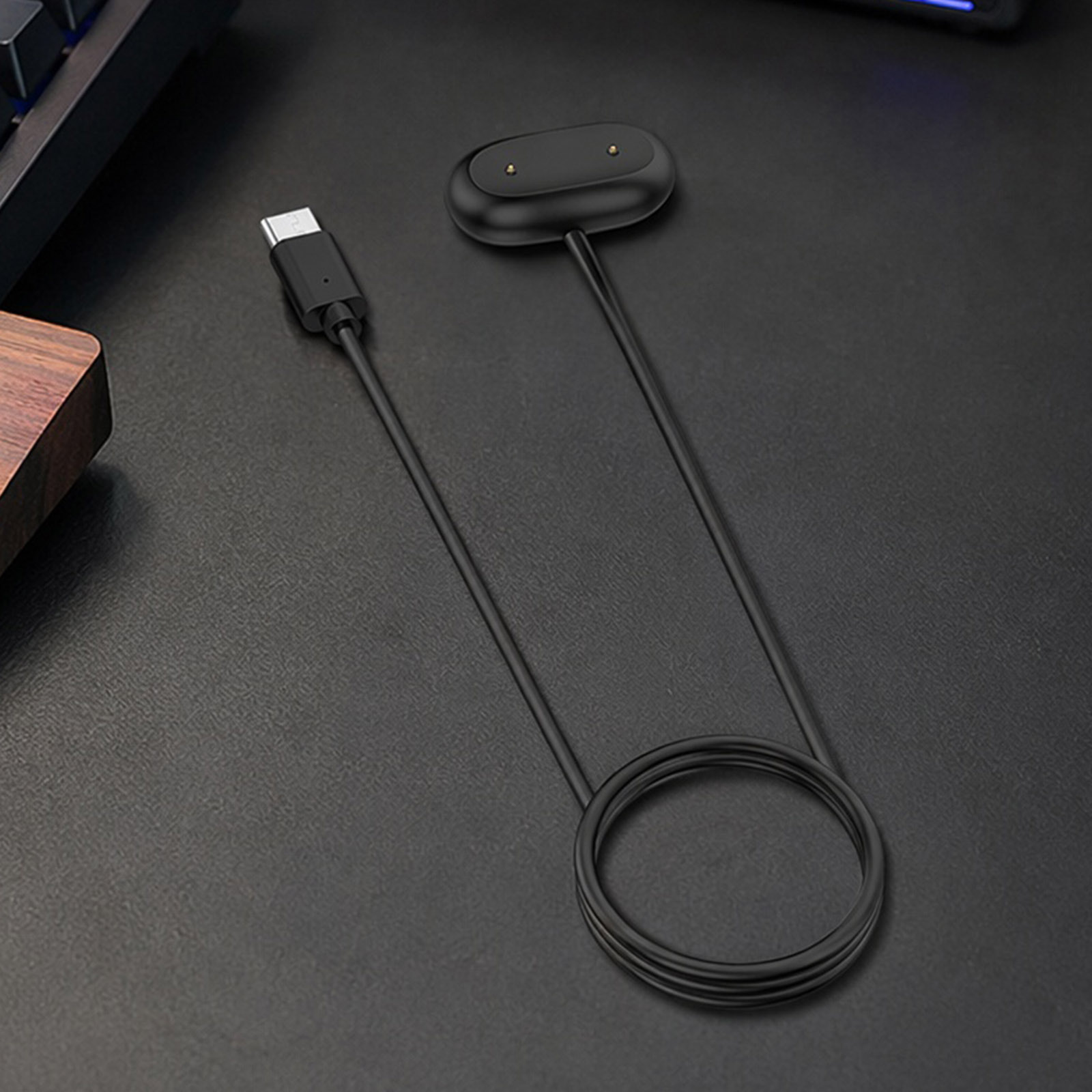 Travel Charging Dock for Fitbi - Travel Accessories Inc ulasan dan harga