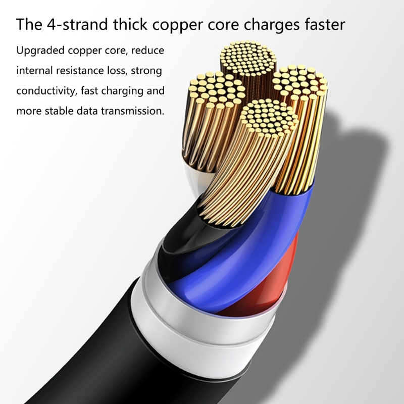 Curly USB A to USB C Fast Cord - Travel Accessories Inc ulasan dan harga